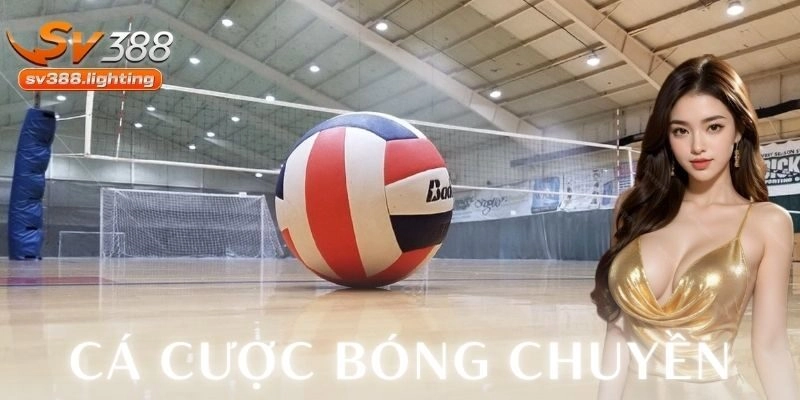 cá cược bóng chuyền SV388