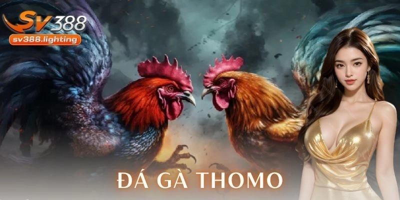 Chiến thuật nâng cao giúp cải thiện tỉ lệ thắng