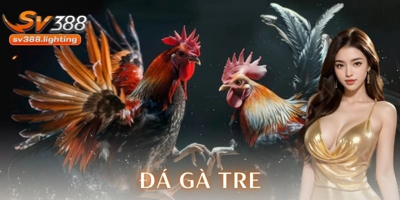 Chiến thuật và kinh nghiệm thực chiến khi cá cược