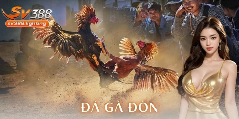 đá gà đòn SV388