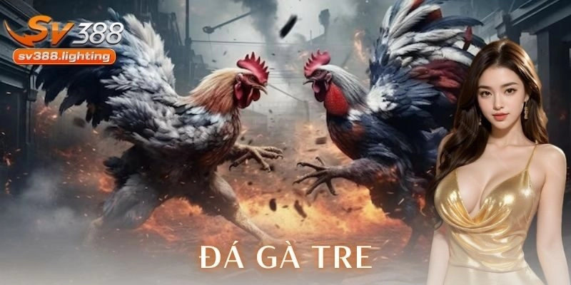 đá gà tre SV388