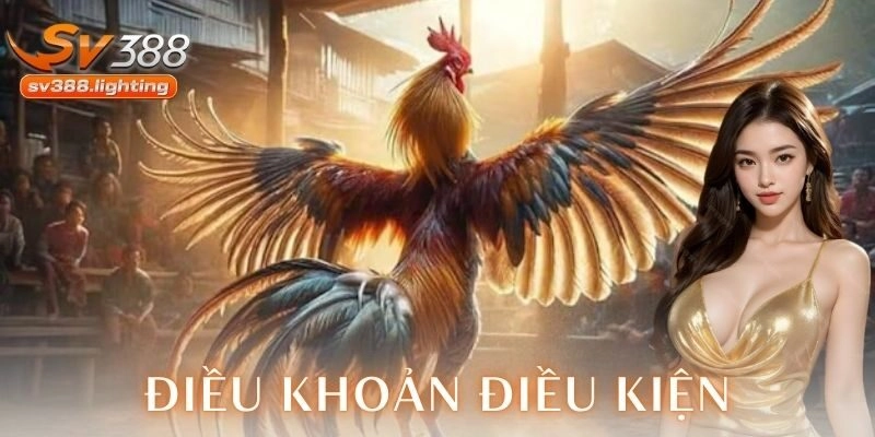 Điều khoản điều kiện là gì và vì sao cần hiểu rõ