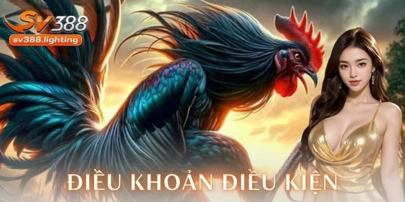 Giải quyết tranh chấp và thông tin liên hệ hỗ trợ