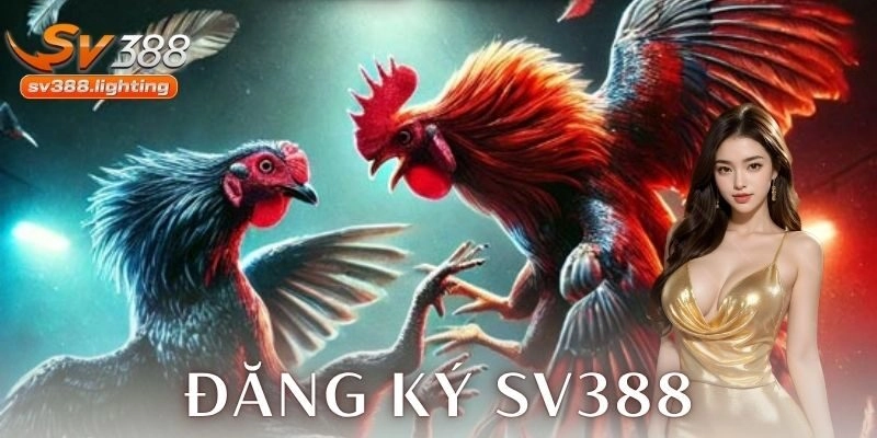 Hướng dẫn chi tiết các bước đăng ký