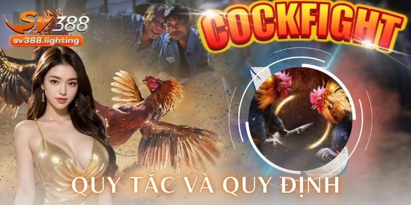 Quy tắc và quy định là gì và vì sao lại quan trọng?