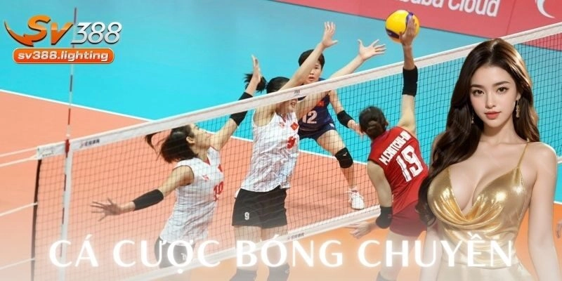 Trải nghiệm thực tế và sự phát triển của cá cược bóng chuyền