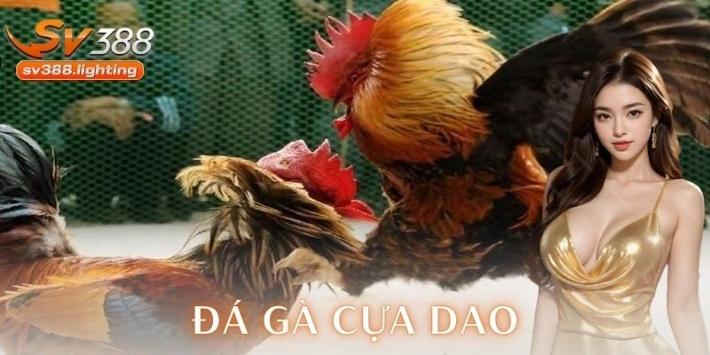 Ưu điểm của đá gà cựa dao trên nền tảng hiện đại